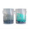 Stjarnagloss Twin Bucket Kit with Dirt Locks (Wash and Rinse)